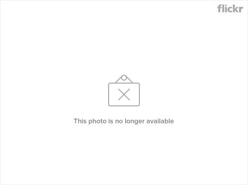 11616892955_a50c0b8d98_b-6800226