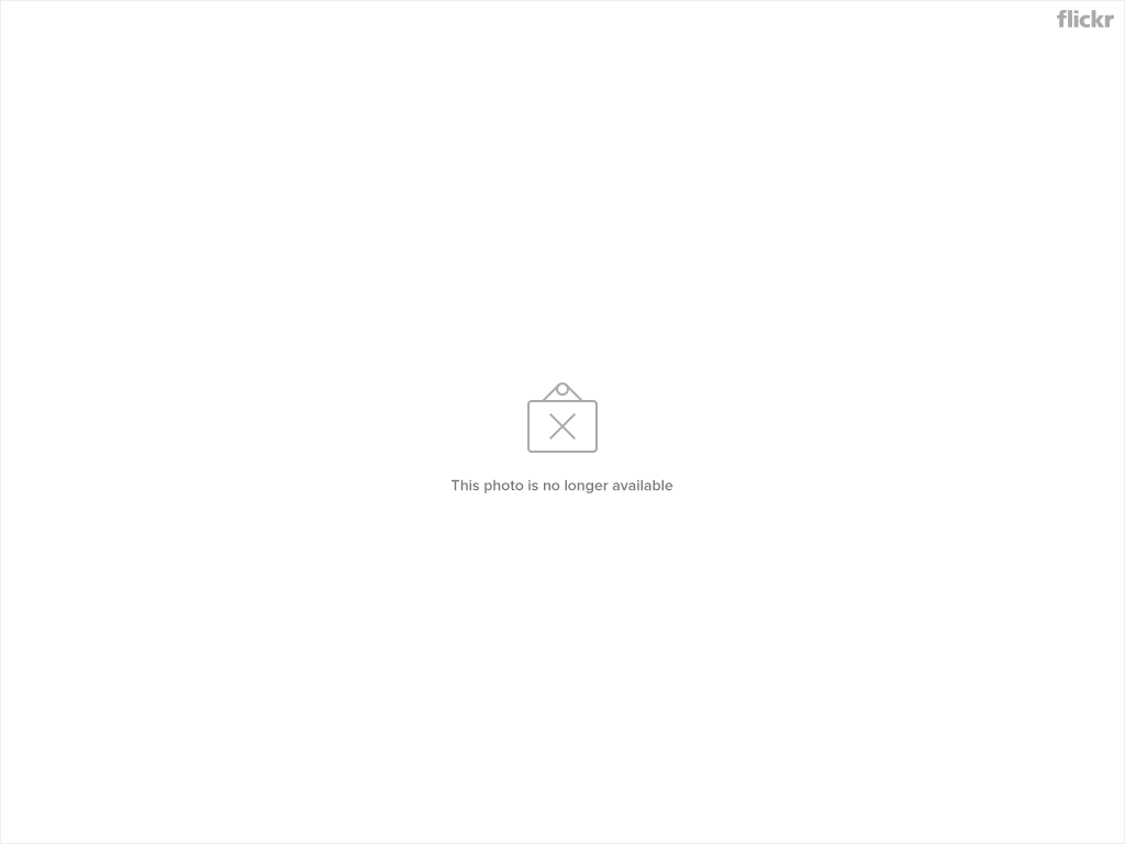 11617237884_c98fd0a2c1_b-5594732