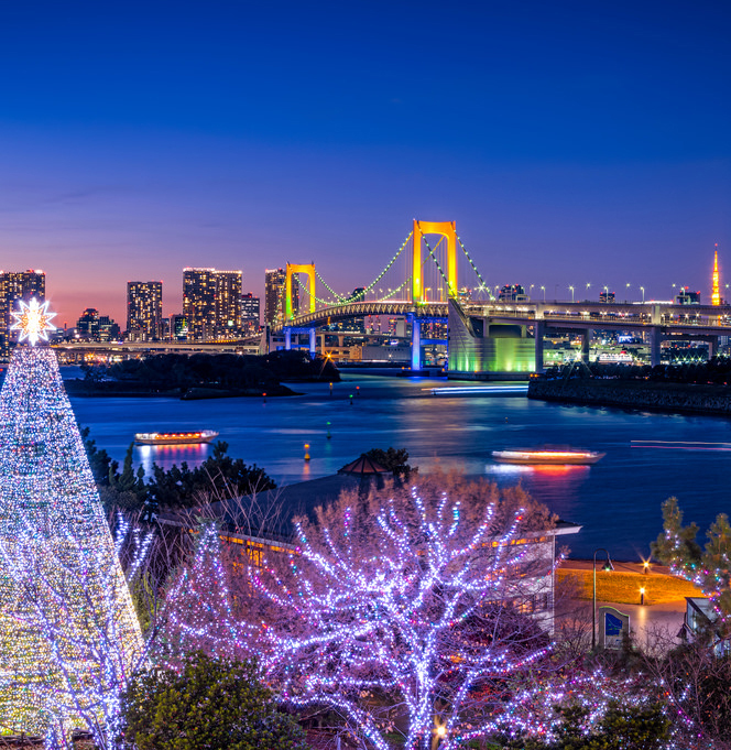 A imagem é um panorama da cidade de Tóquio. Ao fundo, observamos muitos prédios completamente iluminados e um viaduto, que também está completamente iluminado. 
Do lado esquerdo, uma grande árvore completamente iluminada, com uma estrela brihante na ponta.  No meio, outra árvore, com muitas luzes.